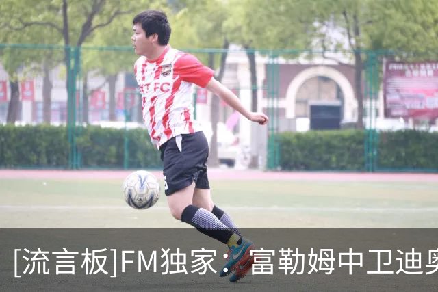 [流言板]FM独家：富勒姆中卫迪奥普加盟伊普斯维奇，转会费1000万欧